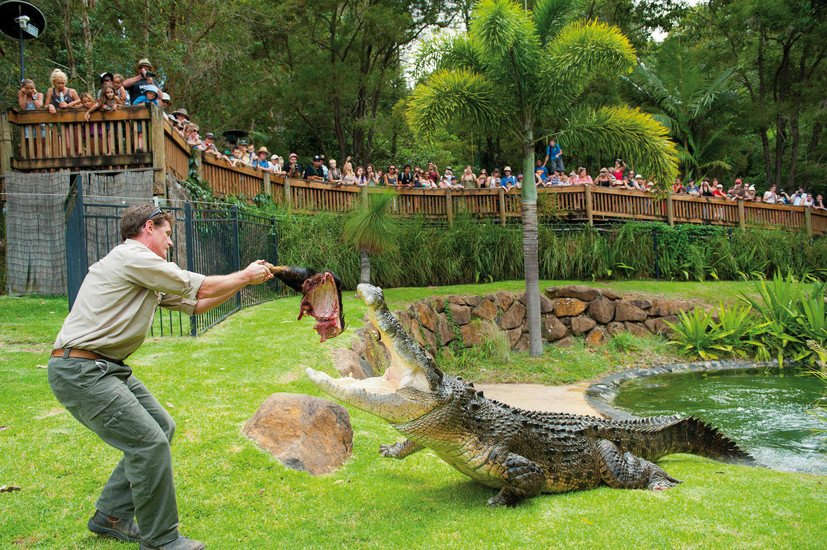 Australias Best Travel Destinations: Wonders of Currumbin Wildlife Sanctuary