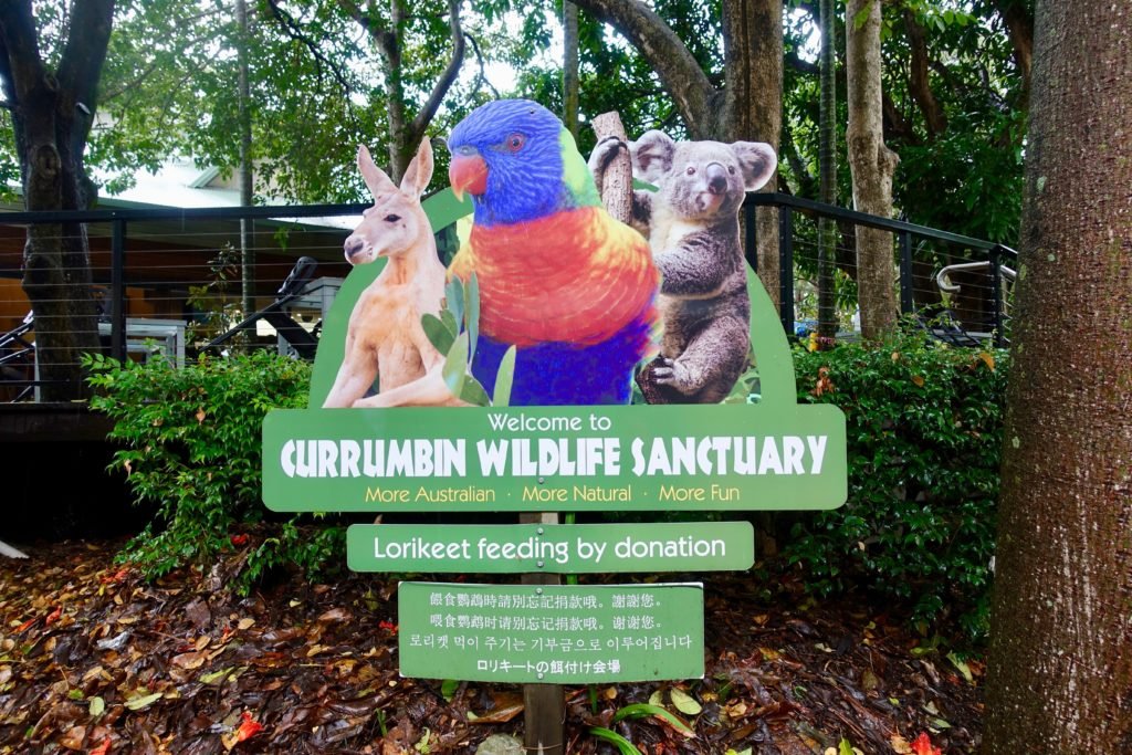 Australias Best Travel Destinations: Wonders of Currumbin Wildlife Sanctuary