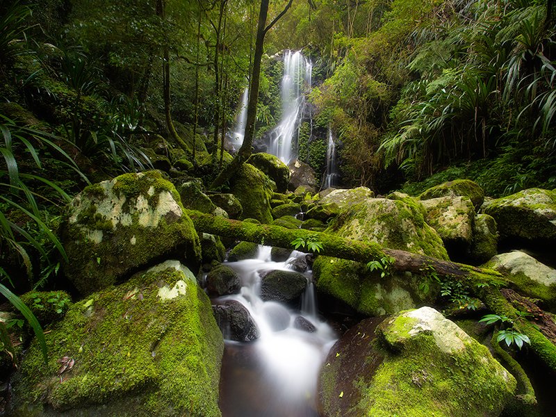 Australias Best Travel Destinations: Lamington National Park