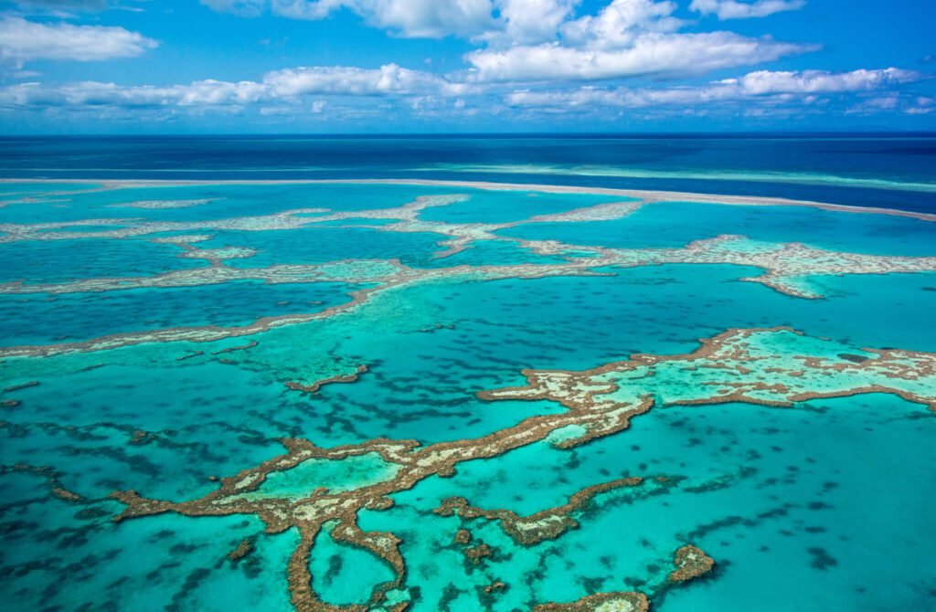 ustralias Best Travel Destinations: Majestic Beauty of the Great Barrier Reef