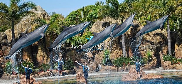 Australias Best Travel Destinations: Sea World